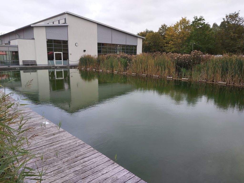 Outdoor swimming pool with biological water treatment.