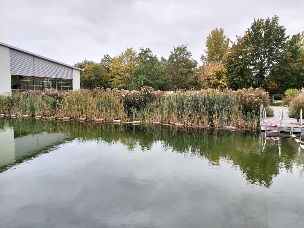 The water plants along the corners.