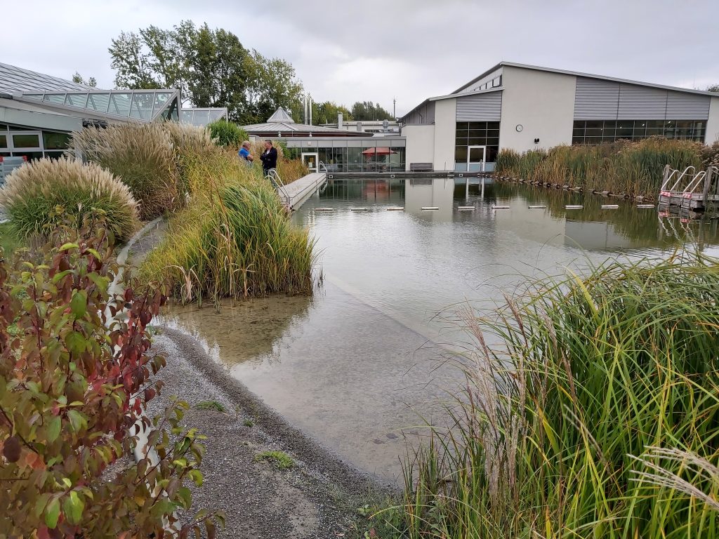 Planted region adjacent to the pool