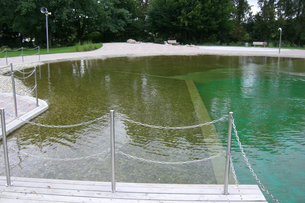 The partition between the non-swimmer and the in-situ biological water filter facility.