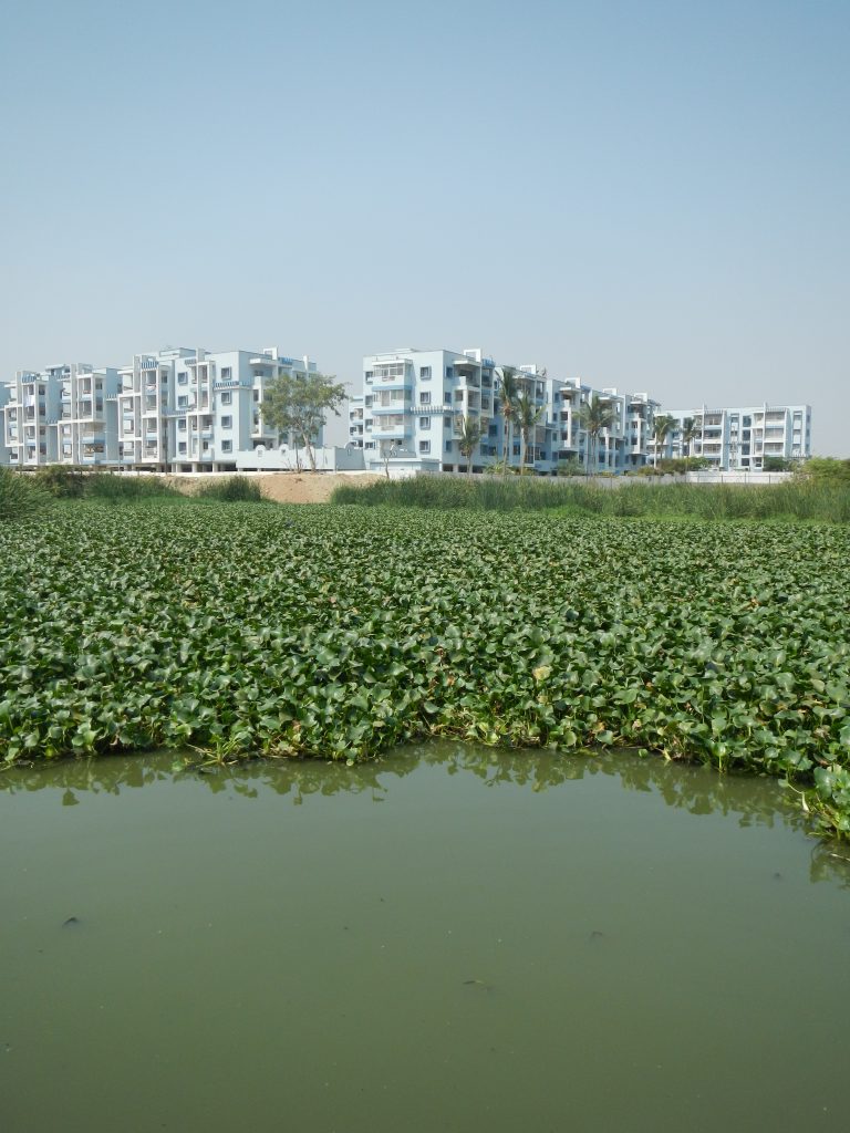 Seesanierung, Lake Bellandur, Indien