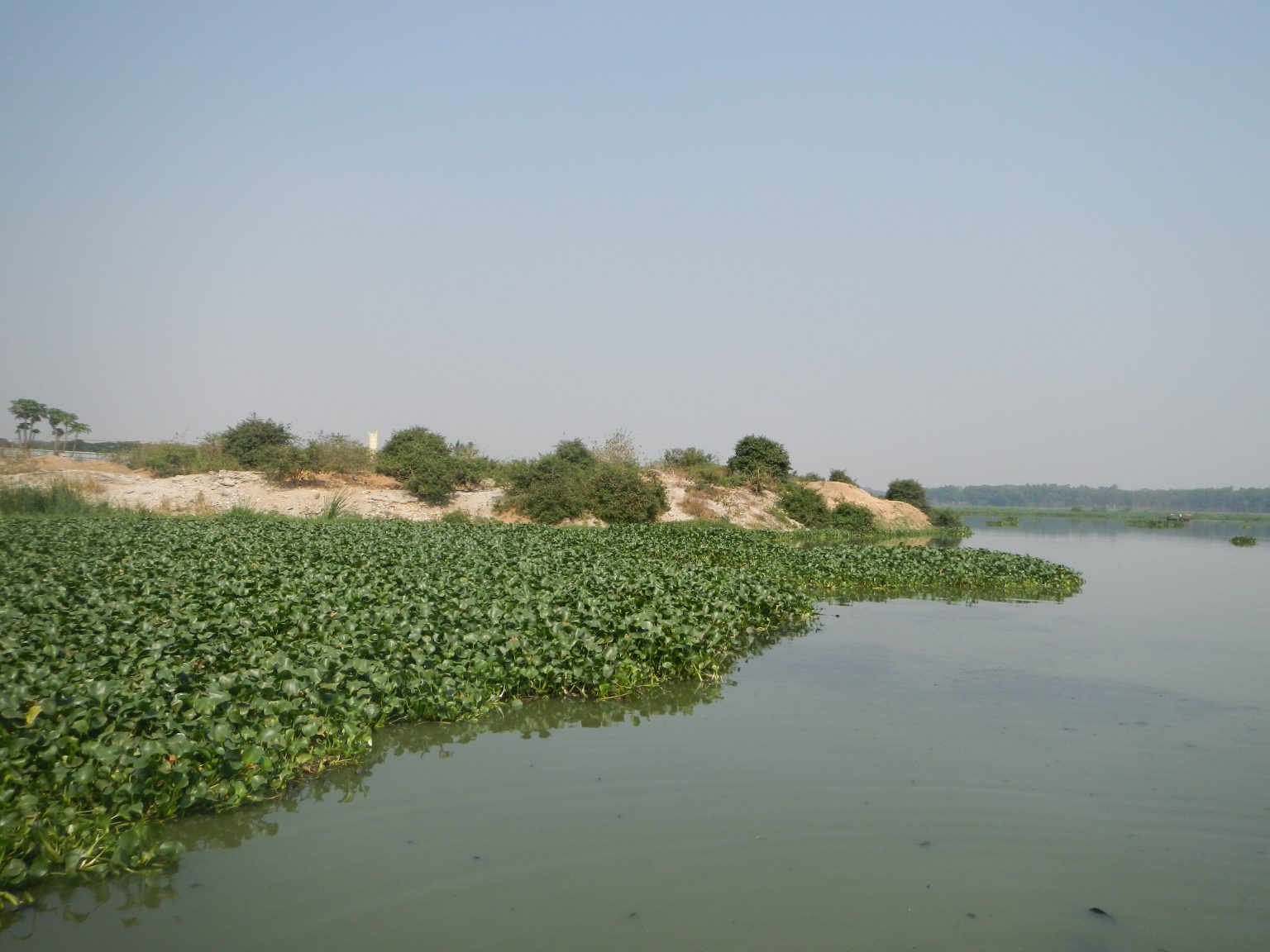 Lake Bellandur Polyplan Restoration Concept