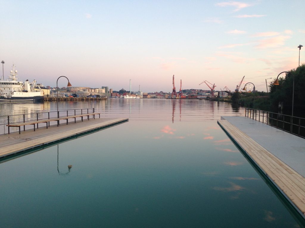 The infinity pool with biological water treatment in Gothenburg.