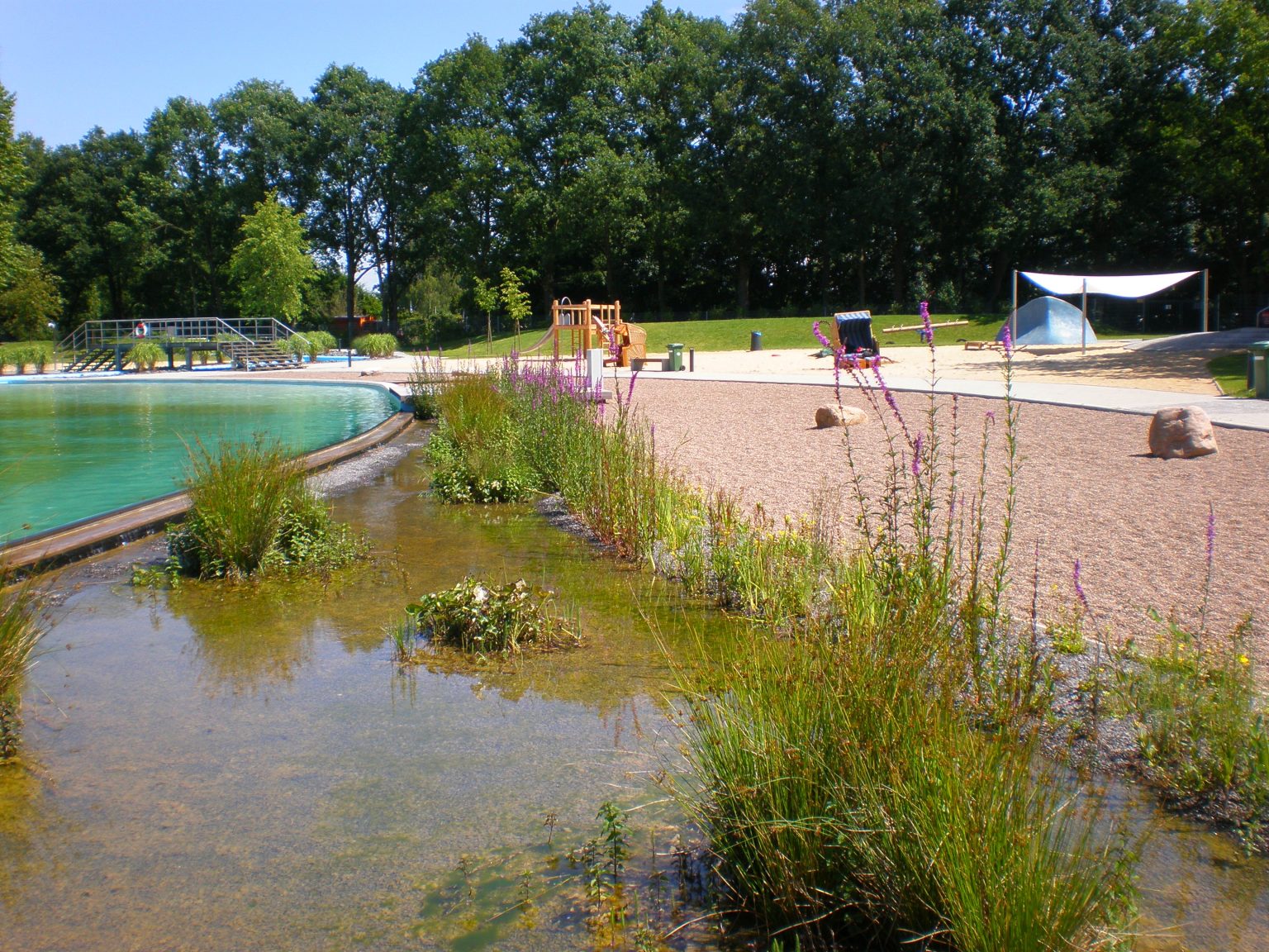 Naturbad Zeven, Hydrobotanik pflazen, Polyplan-Kreikenbaum GmbH