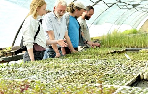 2025-06_PPK_JBraun_Workshop-renatur_0697