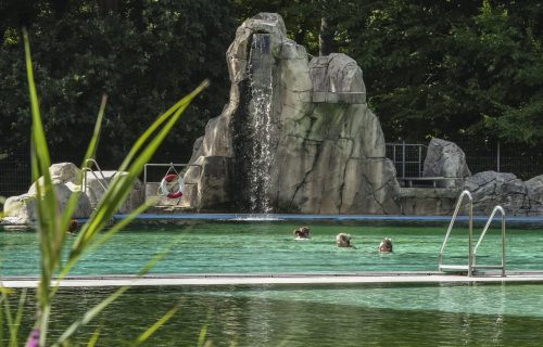 Fotos_ManjaHerrmannZeven-4271